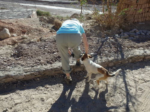 Terry meets a friendly farm dog.